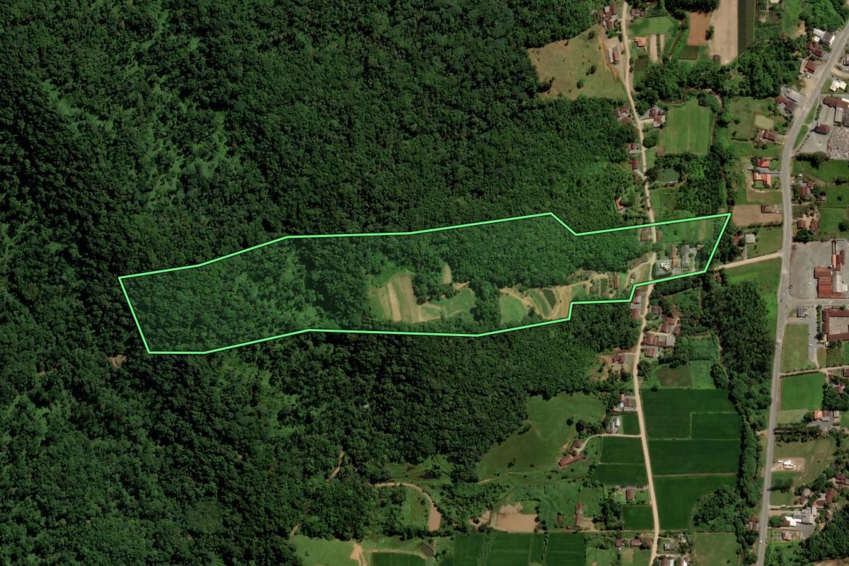 Imagem de satélite do imóvel rural em Jaraguá do Sul (SC), com o contorno declarado no CAR desenhado por cima.