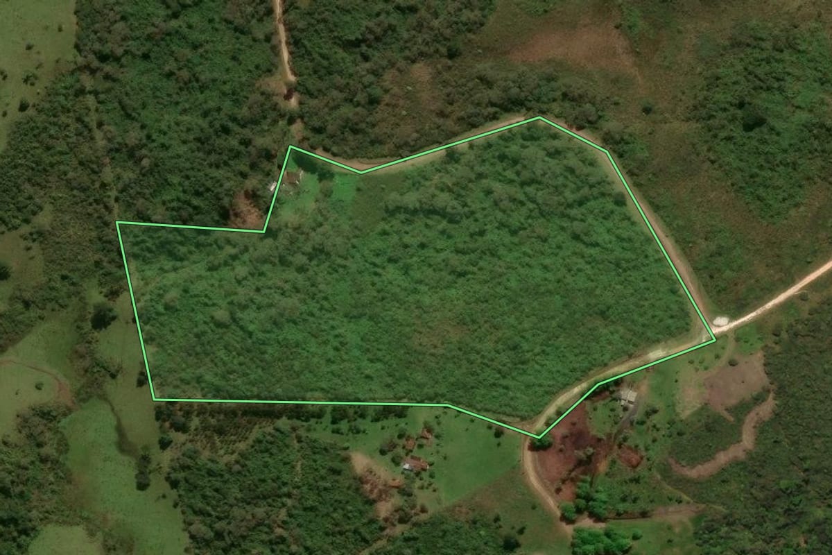 Imagem de satélite do imóvel rural em Jaraguá do Sul (SC), com o contorno declarado no CAR desenhado por cima.