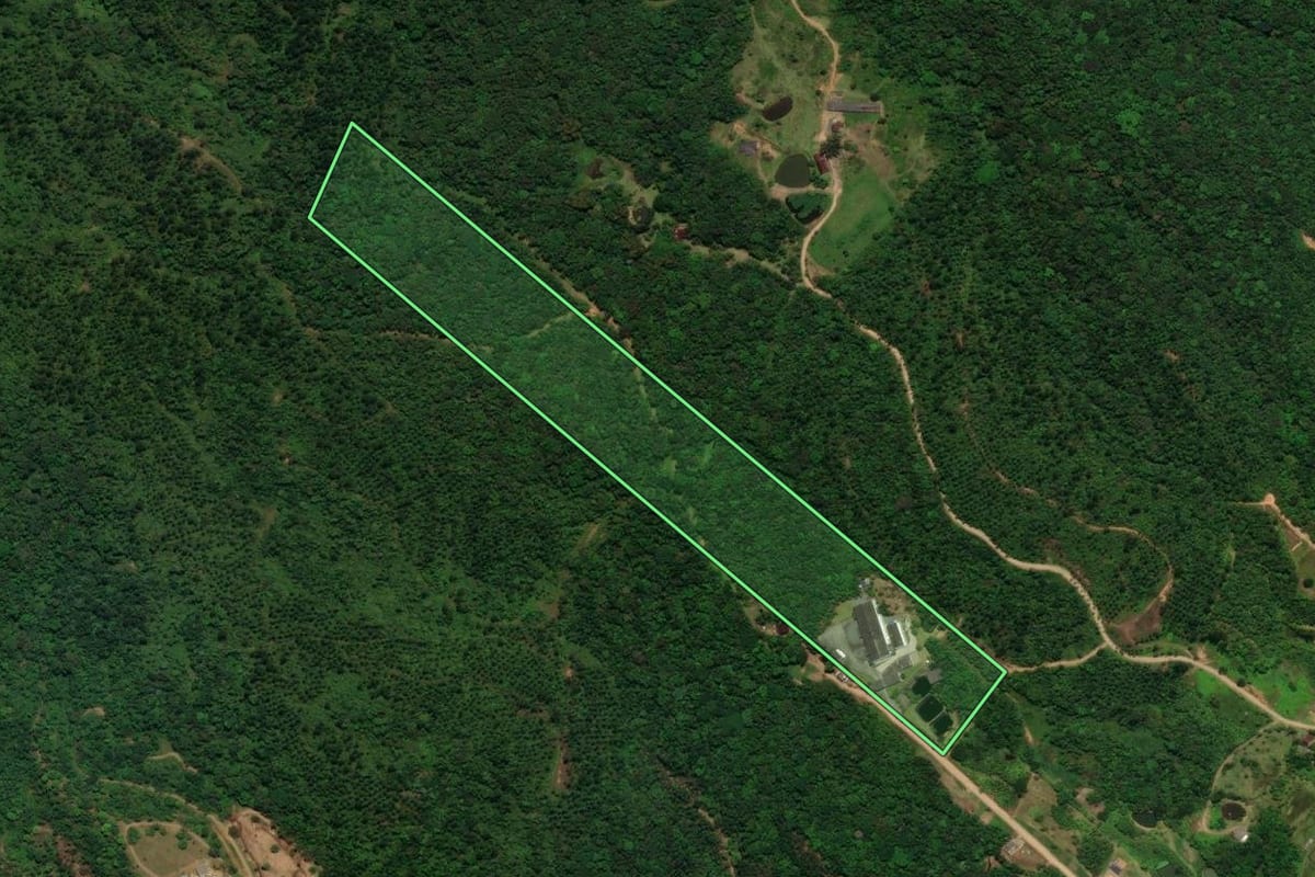 Imagem de satélite do imóvel rural em Jaraguá do Sul (SC), com o contorno declarado no CAR desenhado por cima.
