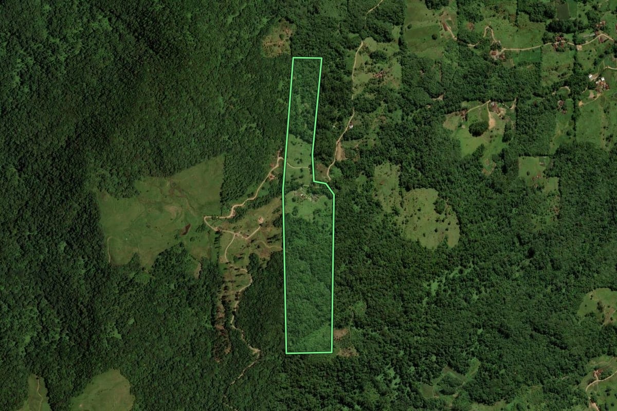 Imagem de satélite do imóvel rural em Jaraguá do Sul (SC), com o contorno declarado no CAR desenhado por cima.