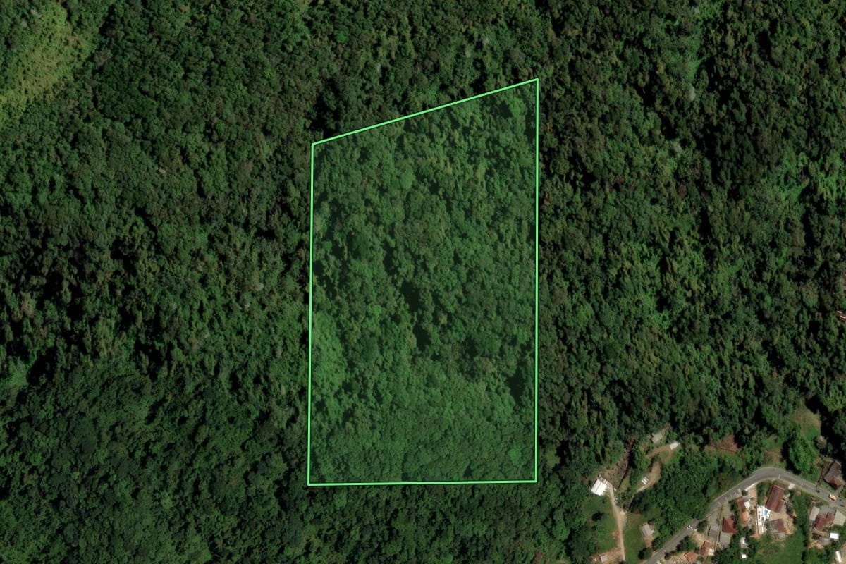 Imagem de satélite do imóvel rural em Jaraguá do Sul (SC), com o contorno declarado no CAR desenhado por cima.