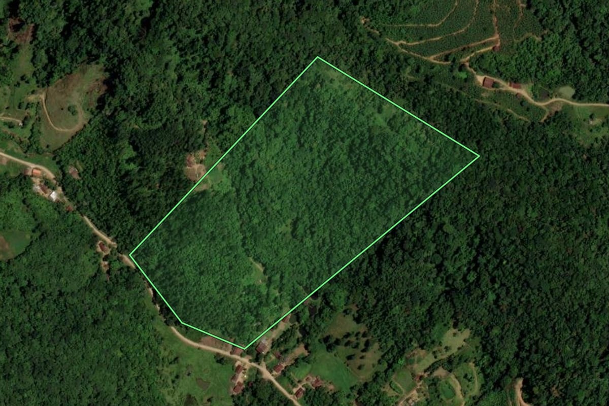 Imagem de satélite do imóvel rural em Jaraguá do Sul (SC), com o contorno declarado no CAR desenhado por cima.