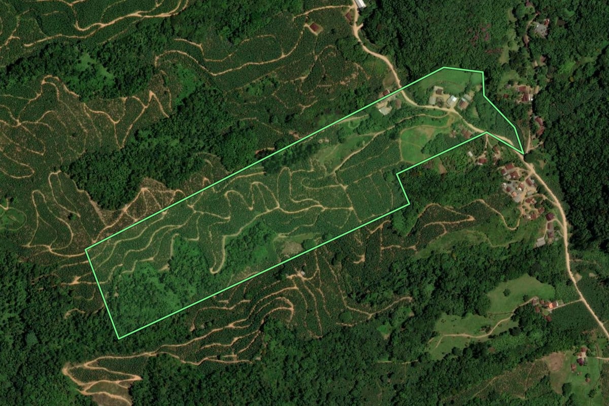 Imagem de satélite do imóvel rural em Jaraguá do Sul (SC), com o contorno declarado no CAR desenhado por cima.