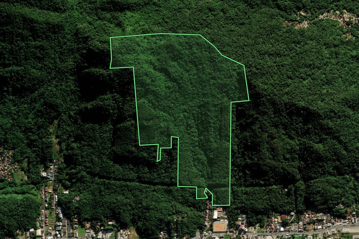 Imagem de satélite do imóvel rural em Jaraguá do Sul (SC), com o contorno declarado no CAR desenhado por cima.
