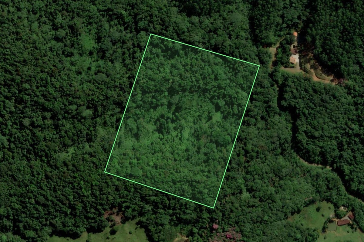 Imagem de satélite do imóvel rural em Jaraguá do Sul (SC), com o contorno declarado no CAR desenhado por cima.