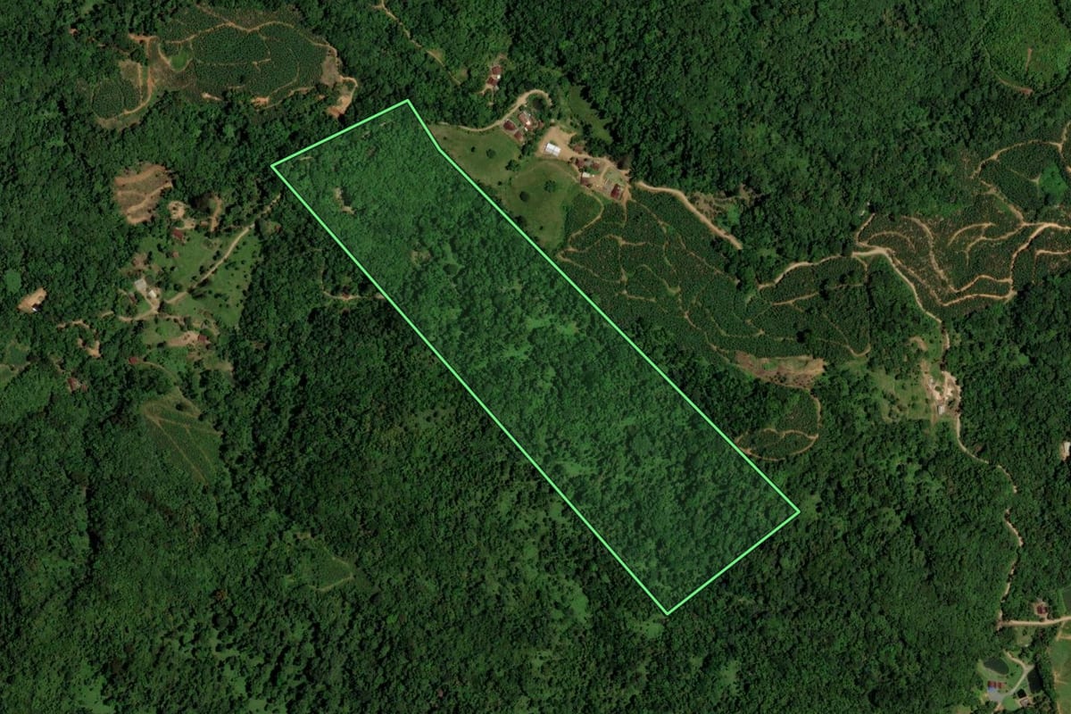 Imagem de satélite do imóvel rural em Jaraguá do Sul (SC), com o contorno declarado no CAR desenhado por cima.