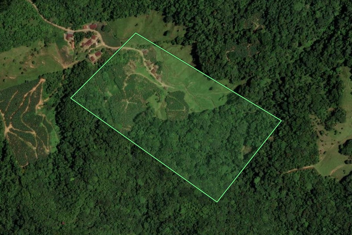 Imagem de satélite do imóvel rural em Jaraguá do Sul (SC), com o contorno declarado no CAR desenhado por cima.