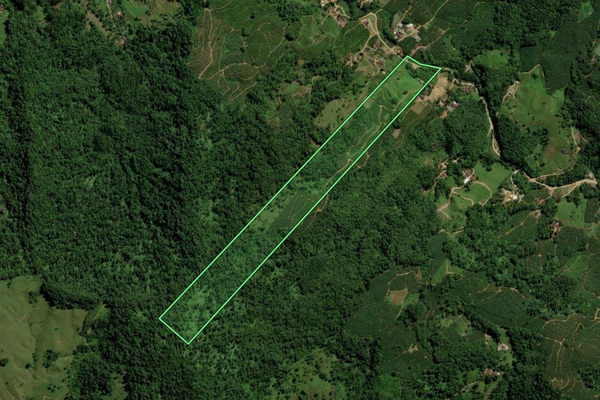 Imagem de satélite do imóvel rural em Jaraguá do Sul (SC), com o contorno declarado no CAR desenhado por cima.