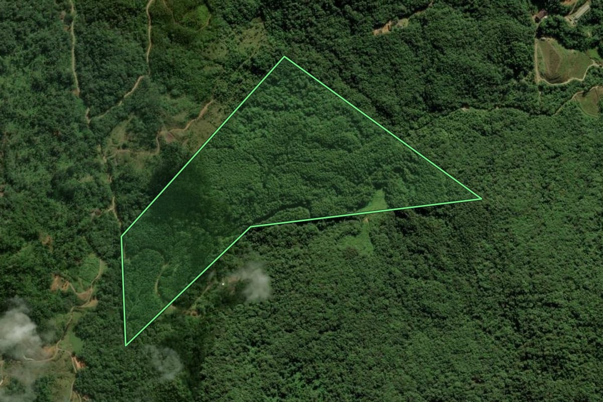 Imagem de satélite do imóvel rural em Jaraguá do Sul (SC), com o contorno declarado no CAR desenhado por cima.