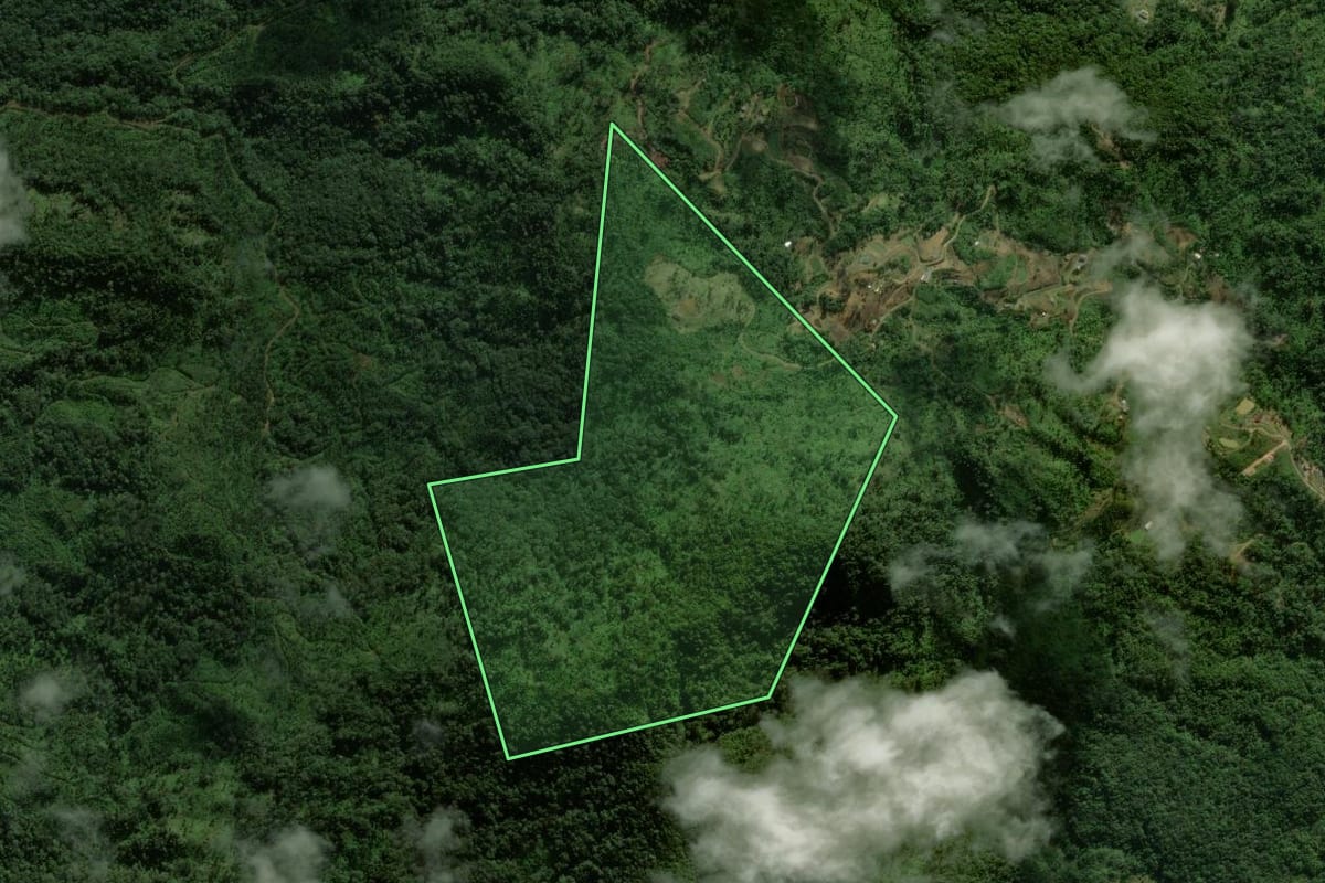 Imagem de satélite do imóvel rural em Jaraguá do Sul (SC), com o contorno declarado no CAR desenhado por cima.