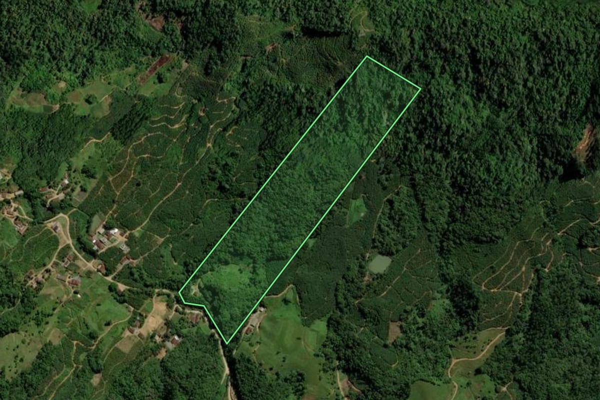 Imagem de satélite do imóvel rural em Jaraguá do Sul (SC), com o contorno declarado no CAR desenhado por cima.