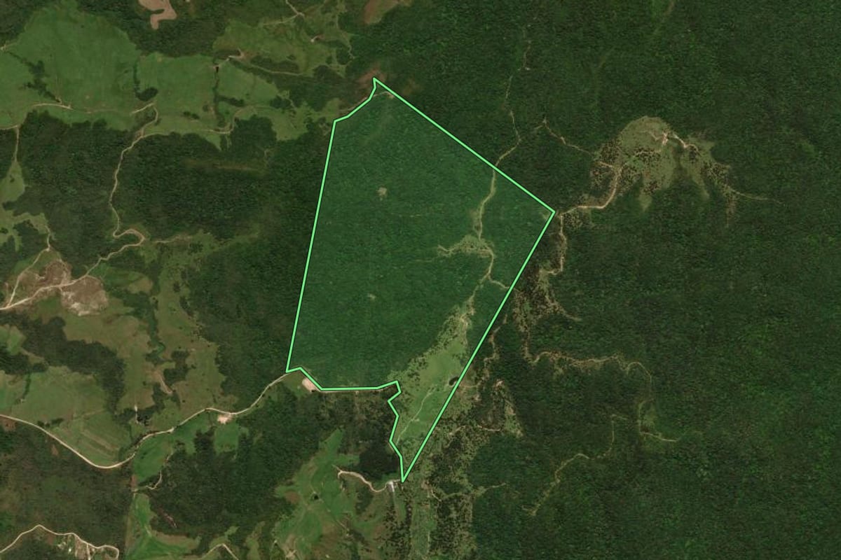 Imagem de satélite do imóvel rural em Jaraguá do Sul (SC), com o contorno declarado no CAR desenhado por cima.