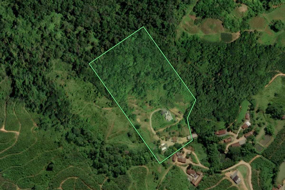 Imagem de satélite do imóvel rural em Jaraguá do Sul (SC), com o contorno declarado no CAR desenhado por cima.