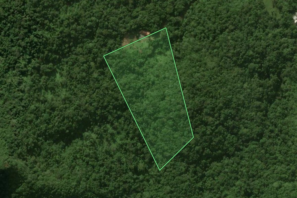 Imagem de satélite do imóvel rural em Jaraguá do Sul (SC), com o contorno declarado no CAR desenhado por cima.