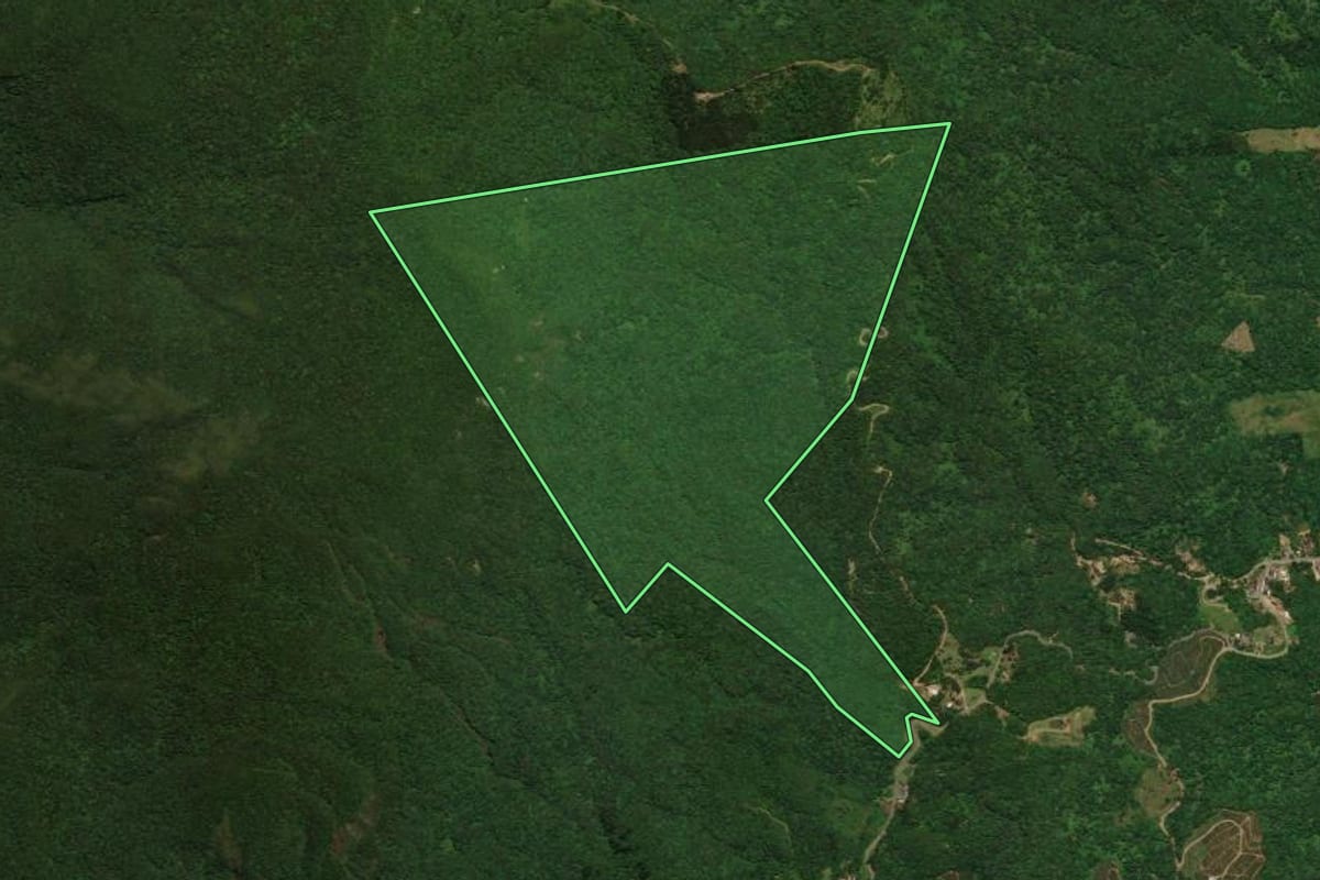 Imagem de satélite do imóvel rural em Jaraguá do Sul (SC), com o contorno declarado no CAR desenhado por cima.