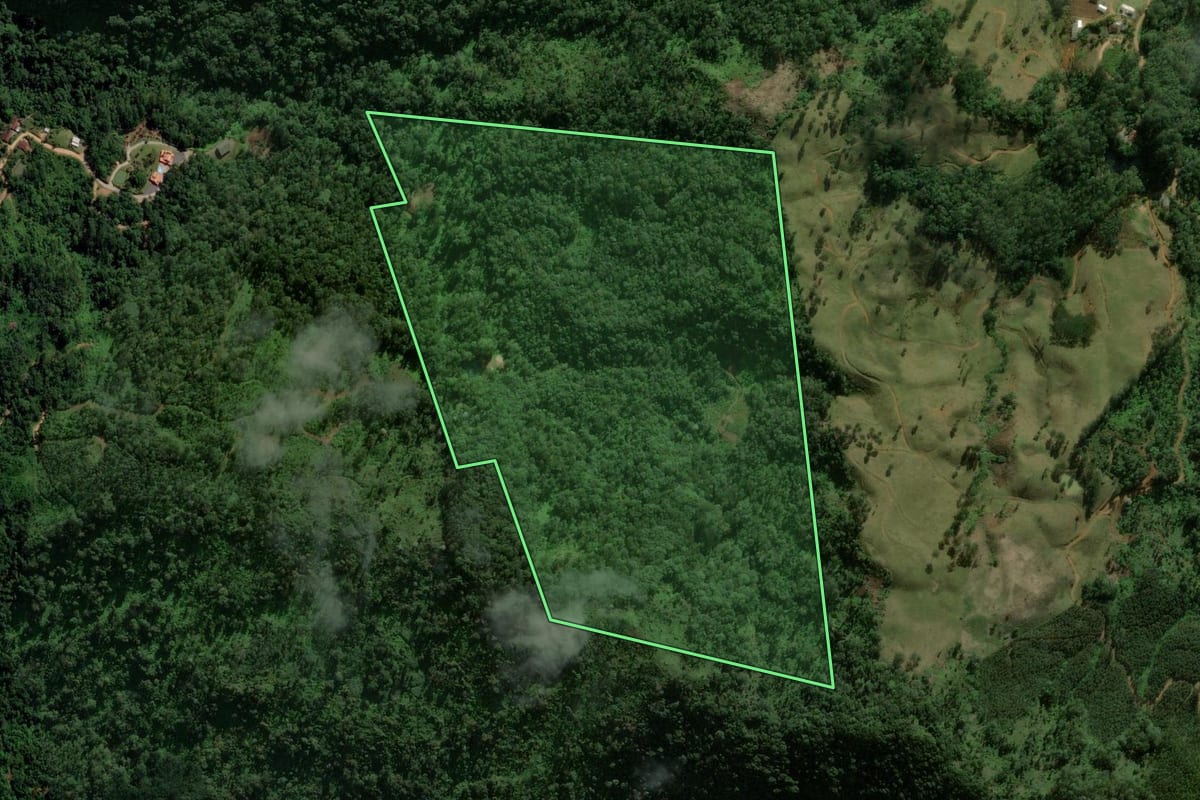 Imagem de satélite do imóvel rural em Jaraguá do Sul (SC), com o contorno declarado no CAR desenhado por cima.