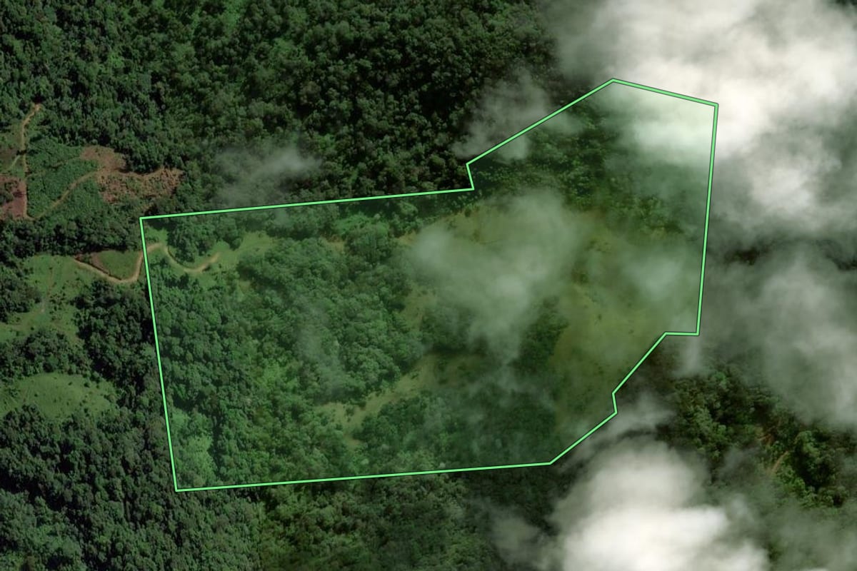 Imagem de satélite do imóvel rural em Jaraguá do Sul (SC), com o contorno declarado no CAR desenhado por cima.