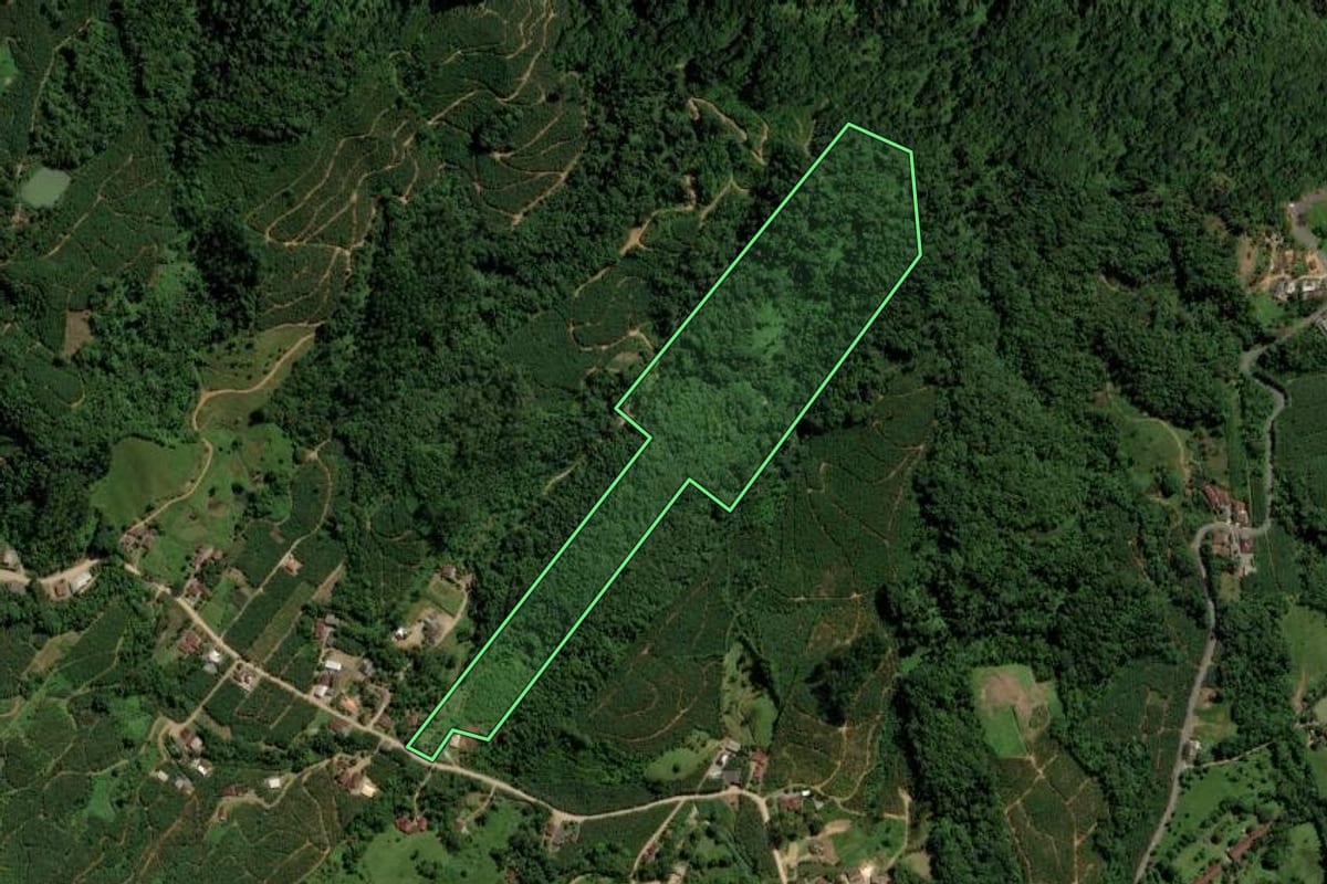 Imagem de satélite do imóvel rural em Jaraguá do Sul (SC), com o contorno declarado no CAR desenhado por cima.