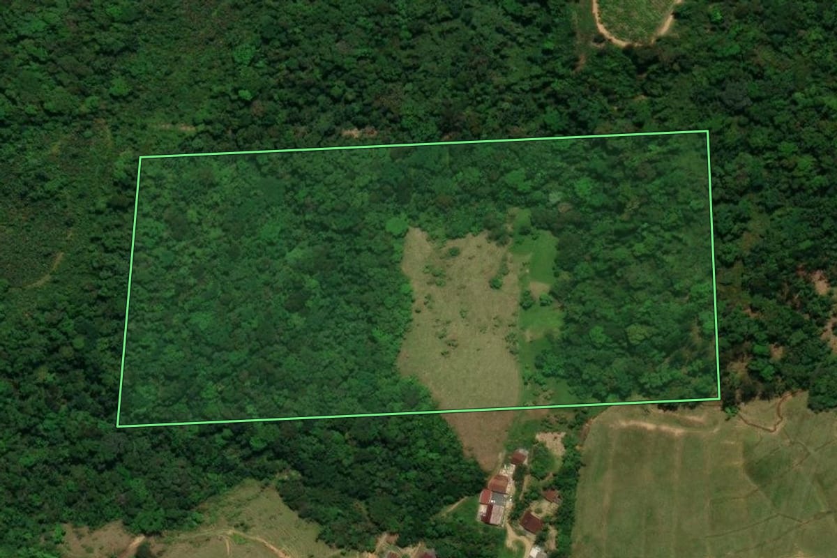 Imagem de satélite do imóvel rural em Jaraguá do Sul (SC), com o contorno declarado no CAR desenhado por cima.