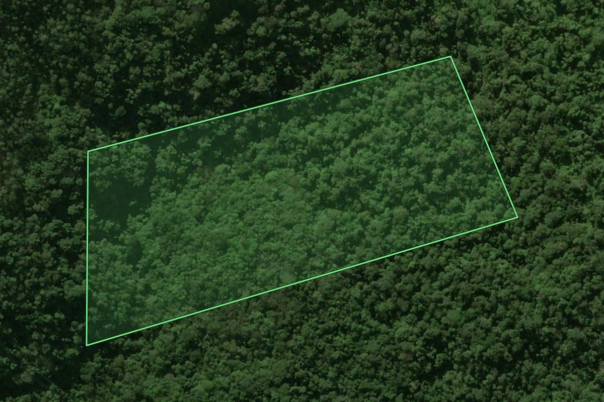 Imagem de satélite do imóvel rural em Jaraguá do Sul (SC), com o contorno declarado no CAR desenhado por cima.