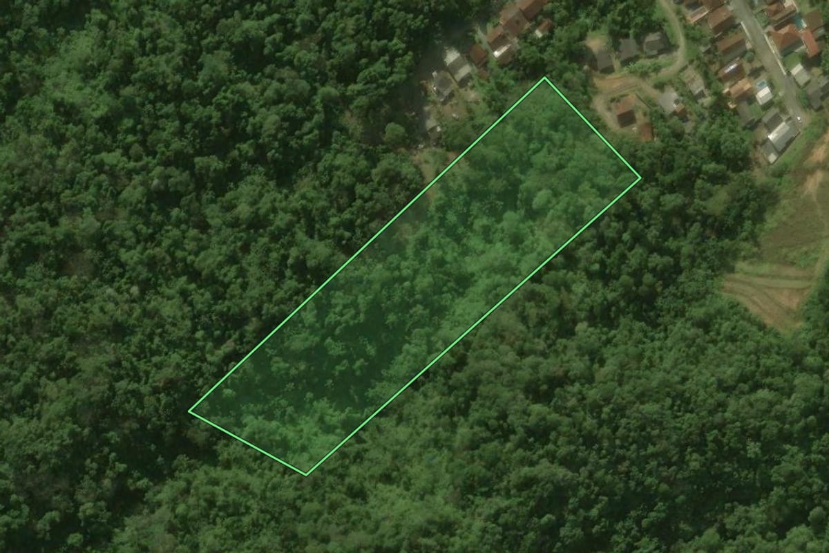 Imagem de satélite do imóvel rural em Jaraguá do Sul (SC), com o contorno declarado no CAR desenhado por cima.