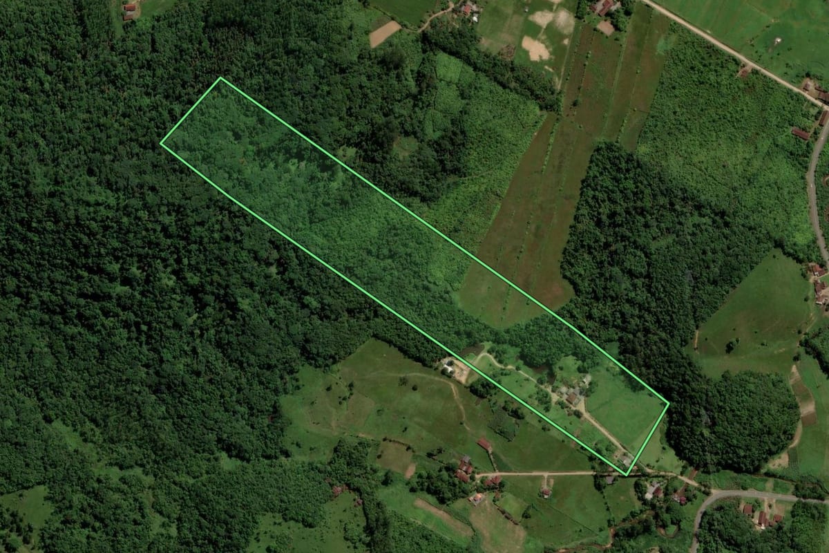 Imagem de satélite do imóvel rural em Jaraguá do Sul (SC), com o contorno declarado no CAR desenhado por cima.
