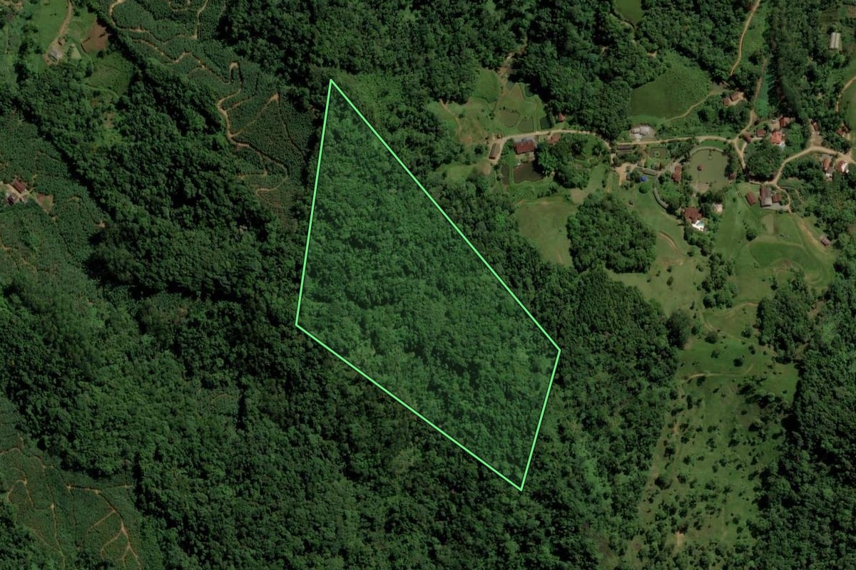 Imagem de satélite do imóvel rural em Jaraguá do Sul (SC), com o contorno declarado no CAR desenhado por cima.