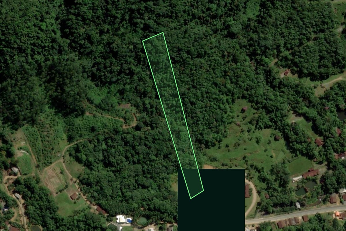 Imagem de satélite do imóvel rural em Jaraguá do Sul (SC), com o contorno declarado no CAR desenhado por cima.