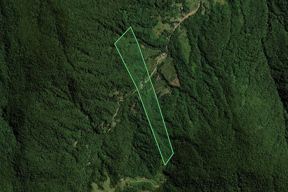 Imagem de satélite do imóvel rural em Jaraguá do Sul (SC), com o contorno declarado no CAR desenhado por cima.