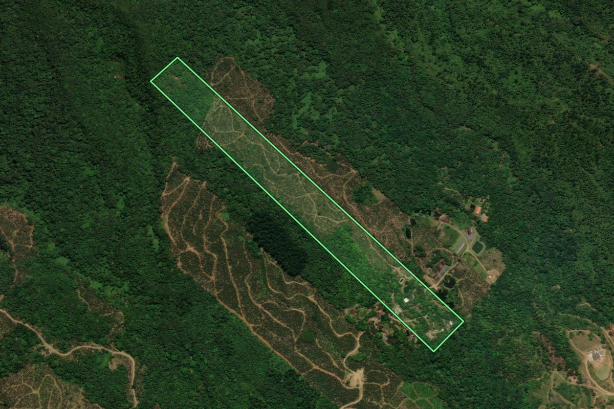 Imagem de satélite do imóvel rural em Jaraguá do Sul (SC), com o contorno declarado no CAR desenhado por cima.