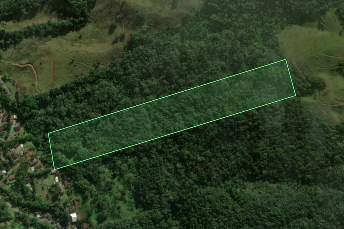 Imagem de satélite do imóvel rural em Jaraguá do Sul (SC), com o contorno declarado no CAR desenhado por cima.