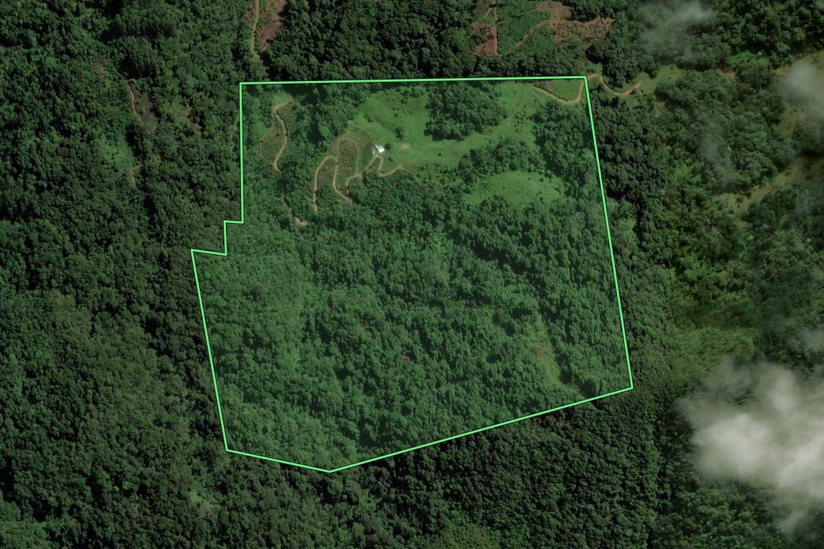 Imagem de satélite do imóvel rural em Jaraguá do Sul (SC), com o contorno declarado no CAR desenhado por cima.