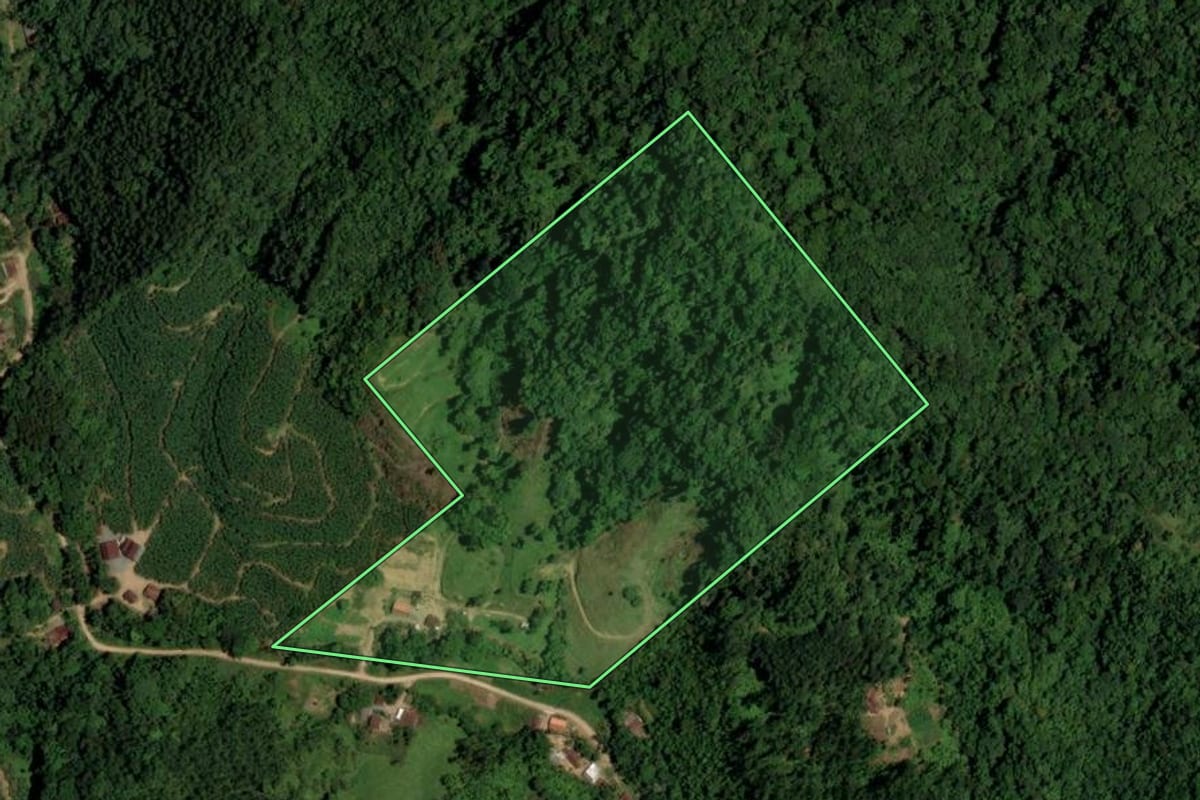 Imagem de satélite do imóvel rural em Jaraguá do Sul (SC), com o contorno declarado no CAR desenhado por cima.