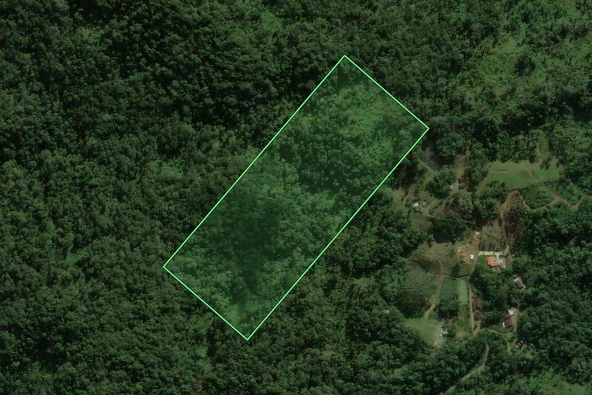 Imagem de satélite do imóvel rural em Jaraguá do Sul (SC), com o contorno declarado no CAR desenhado por cima.