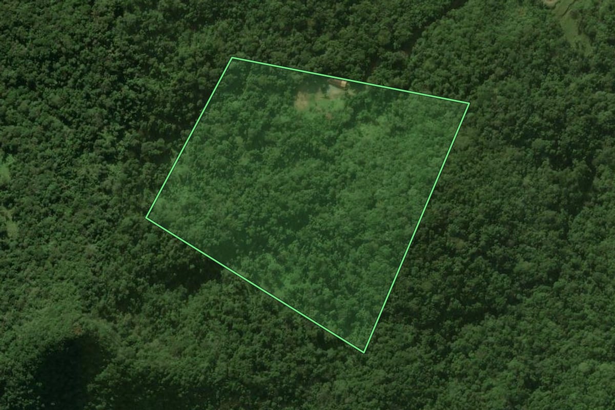 Imagem de satélite do imóvel rural em Jaraguá do Sul (SC), com o contorno declarado no CAR desenhado por cima.