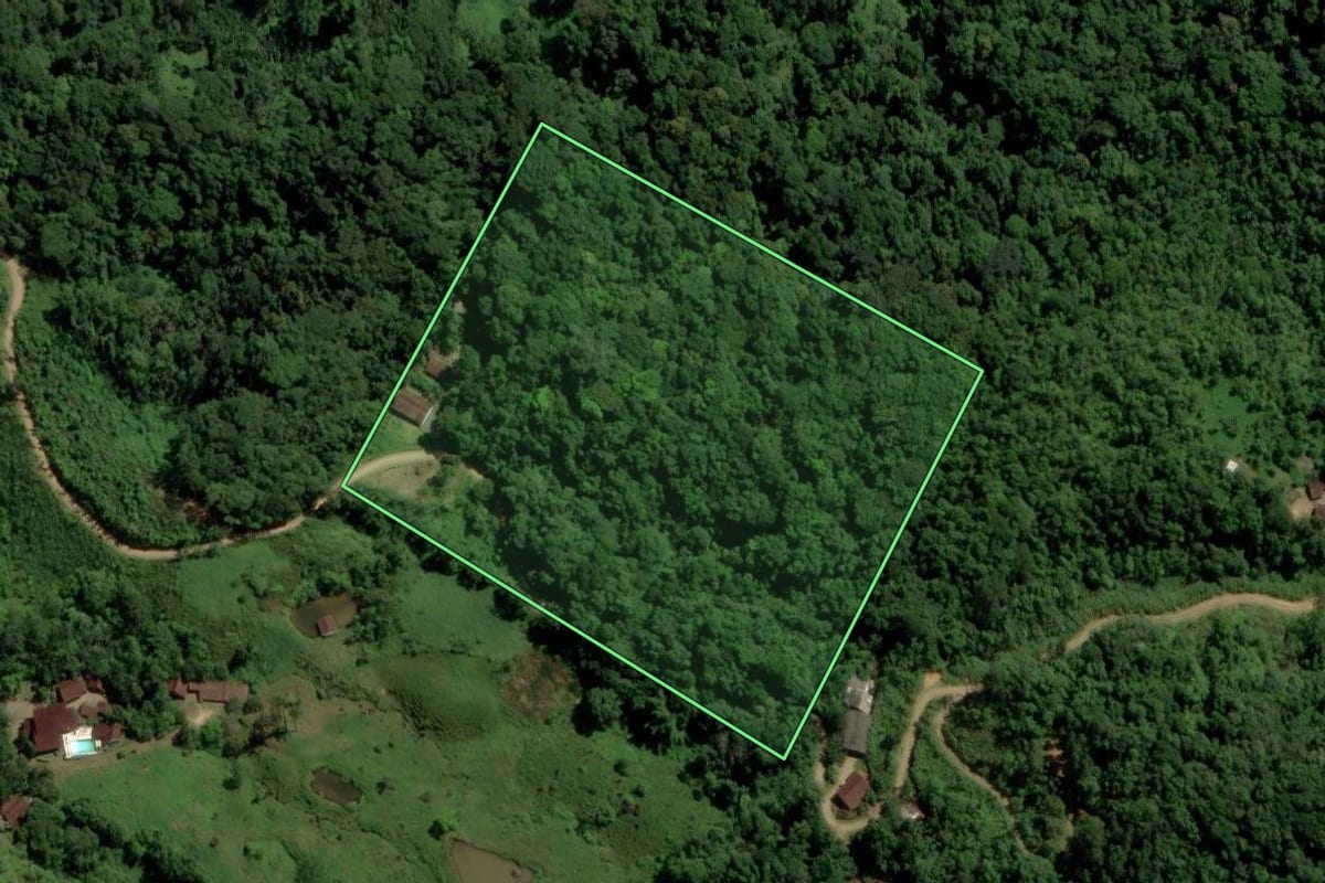 Imagem de satélite do imóvel rural em Jaraguá do Sul (SC), com o contorno declarado no CAR desenhado por cima.