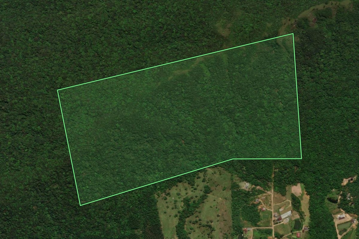 Imagem de satélite do imóvel rural em Jaraguá do Sul (SC), com o contorno declarado no CAR desenhado por cima.