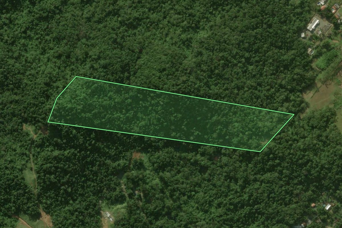 Imagem de satélite do imóvel rural em Jaraguá do Sul (SC), com o contorno declarado no CAR desenhado por cima.