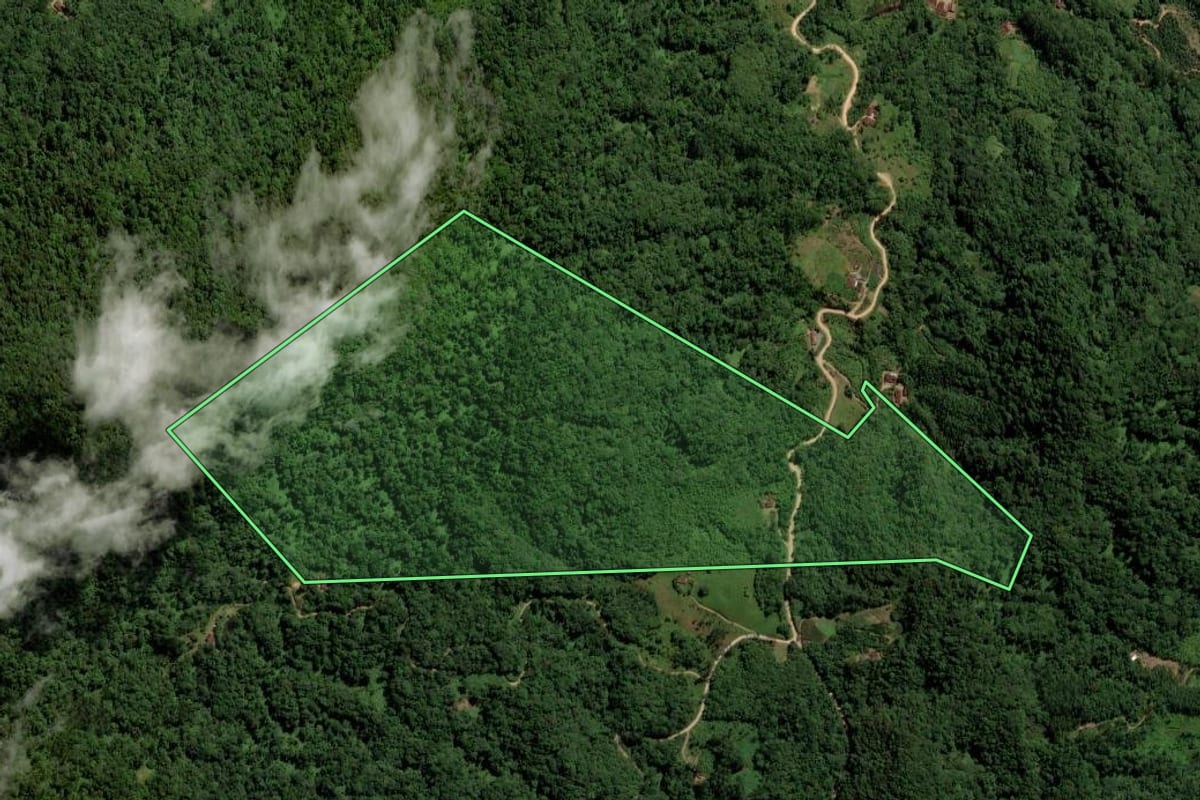 Imagem de satélite do imóvel rural em Jaraguá do Sul (SC), com o contorno declarado no CAR desenhado por cima.