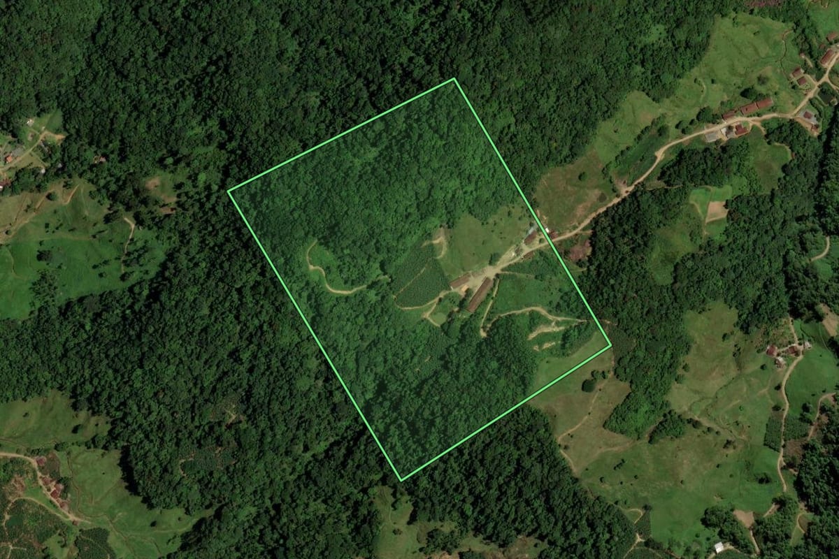 Imagem de satélite do imóvel rural em Jaraguá do Sul (SC), com o contorno declarado no CAR desenhado por cima.