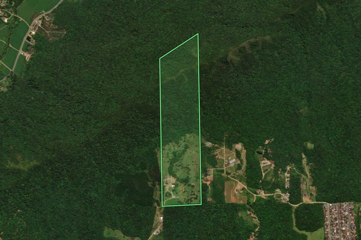 Imagem de satélite do imóvel rural em Jaraguá do Sul (SC), com o contorno declarado no CAR desenhado por cima.