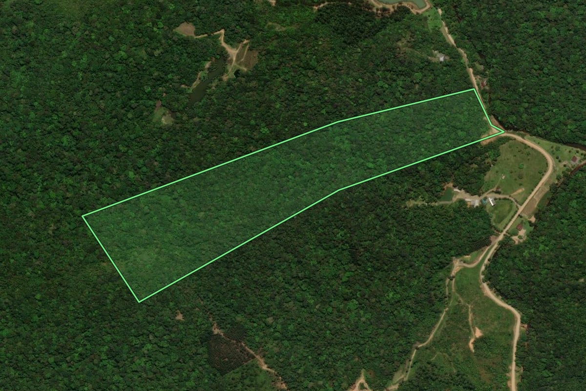 Imagem de satélite do imóvel rural em Jaraguá do Sul (SC), com o contorno declarado no CAR desenhado por cima.