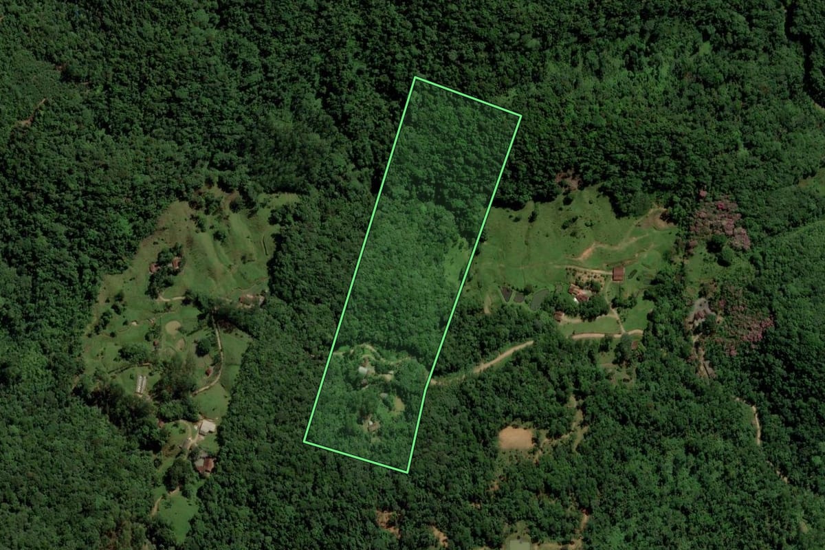 Imagem de satélite do imóvel rural em Jaraguá do Sul (SC), com o contorno declarado no CAR desenhado por cima.