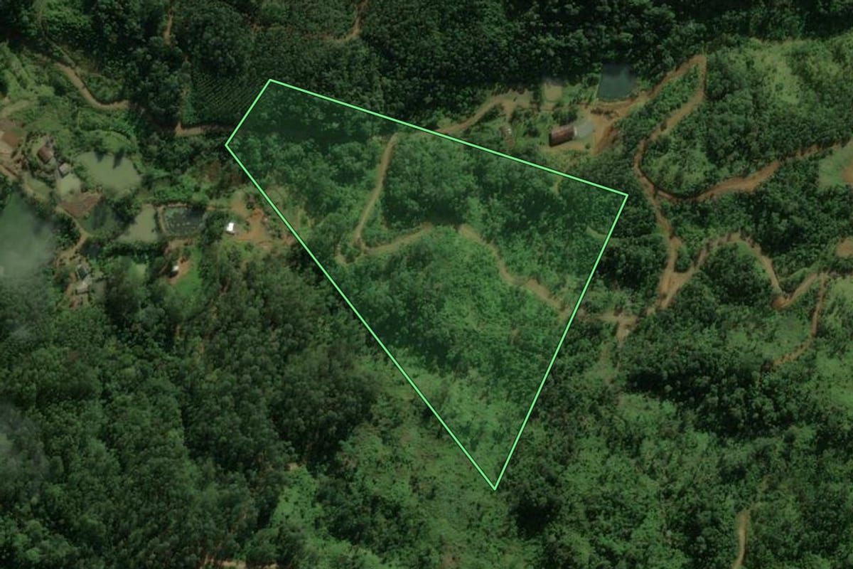 Imagem de satélite do imóvel rural em Jaraguá do Sul (SC), com o contorno declarado no CAR desenhado por cima.