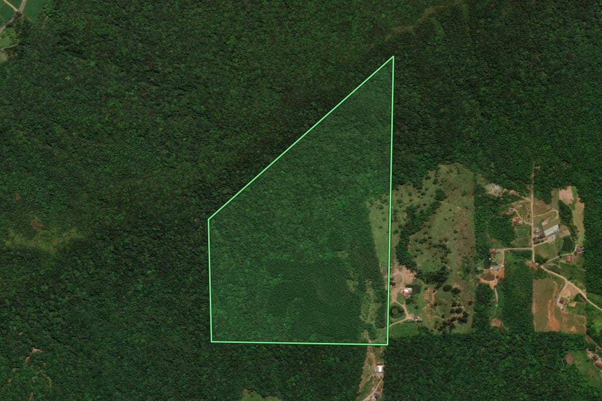 Imagem de satélite do imóvel rural em Jaraguá do Sul (SC), com o contorno declarado no CAR desenhado por cima.