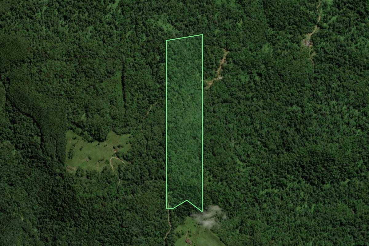 Imagem de satélite do imóvel rural em Jaraguá do Sul (SC), com o contorno declarado no CAR desenhado por cima.