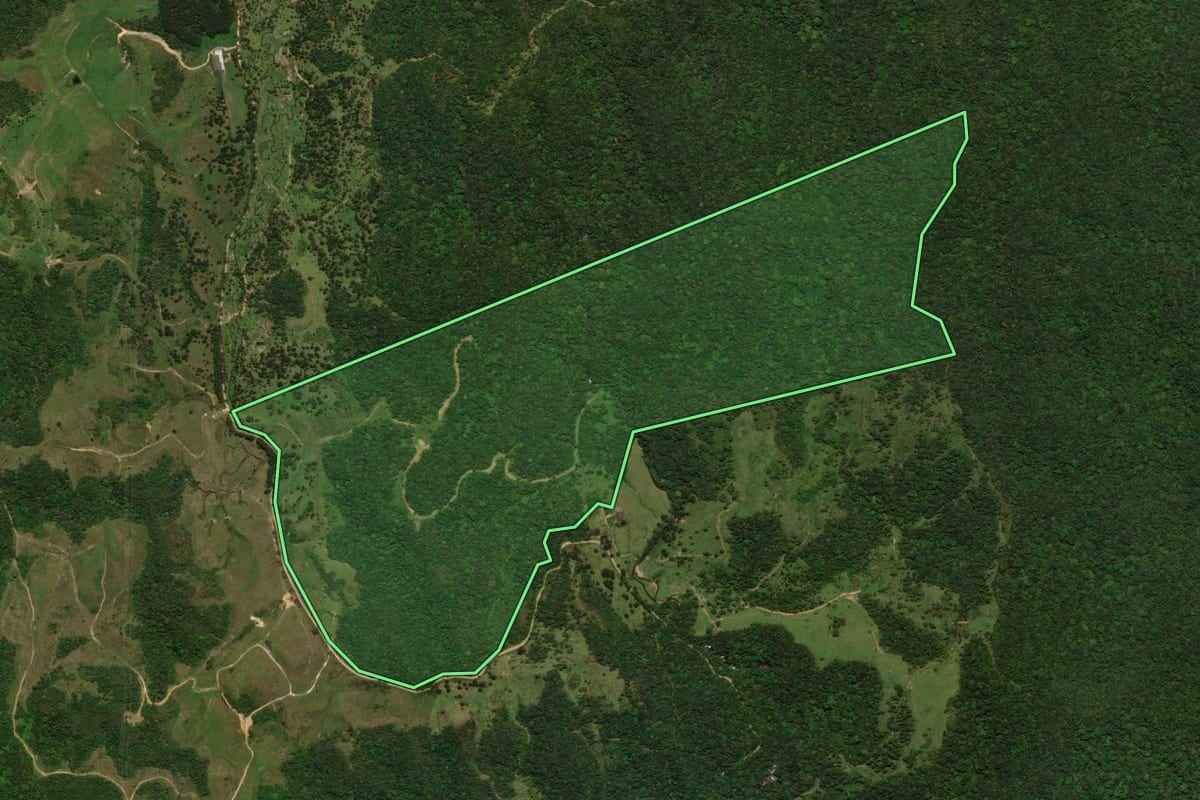 Imagem de satélite do imóvel rural em Jaraguá do Sul (SC), com o contorno declarado no CAR desenhado por cima.