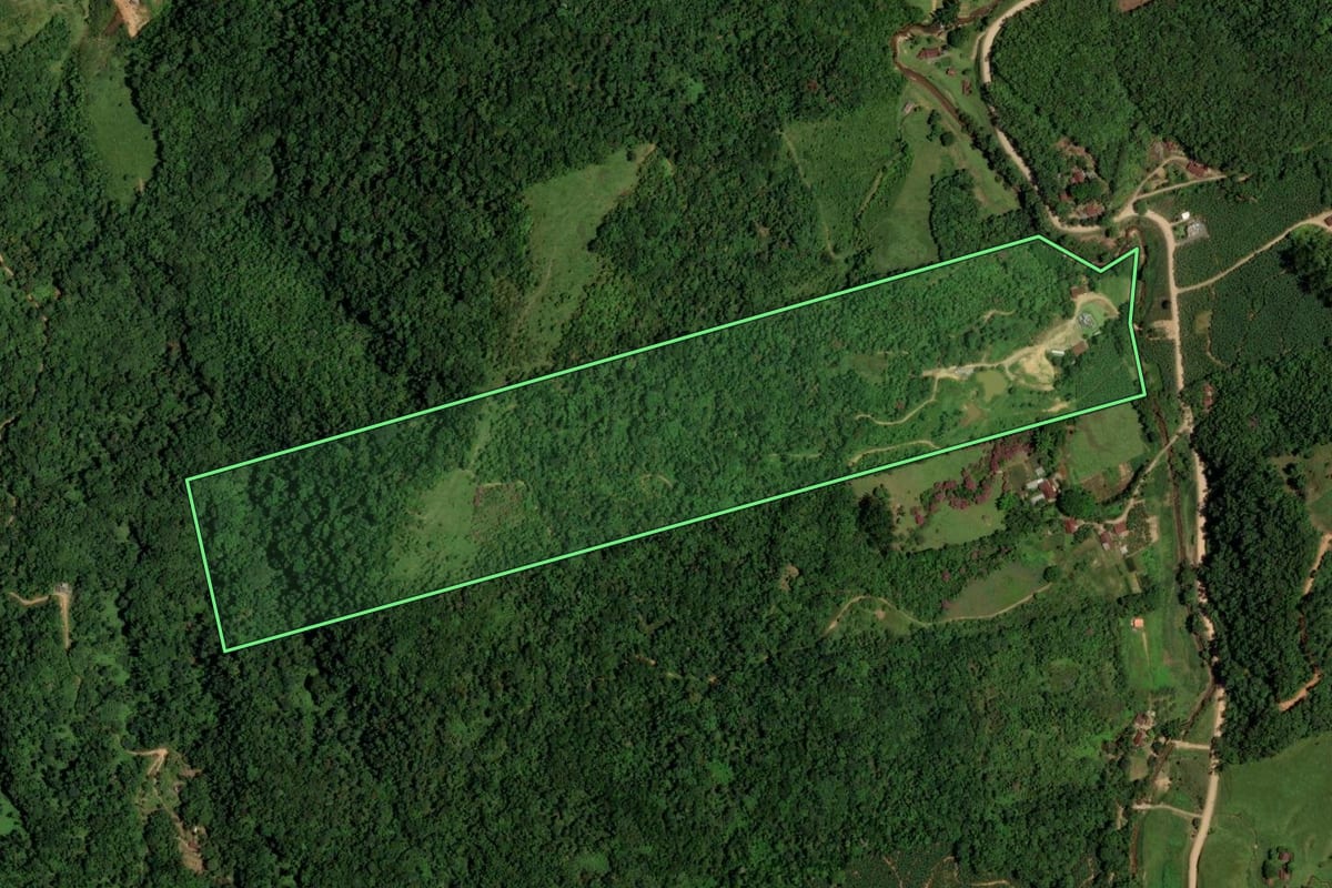 Imagem de satélite do imóvel rural em Jaraguá do Sul (SC), com o contorno declarado no CAR desenhado por cima.