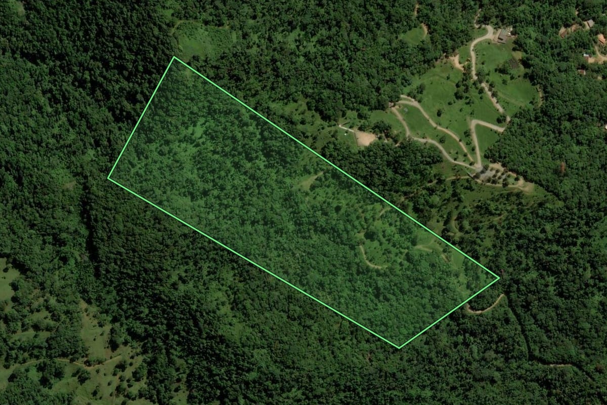 Imagem de satélite do imóvel rural em Jaraguá do Sul (SC), com o contorno declarado no CAR desenhado por cima.