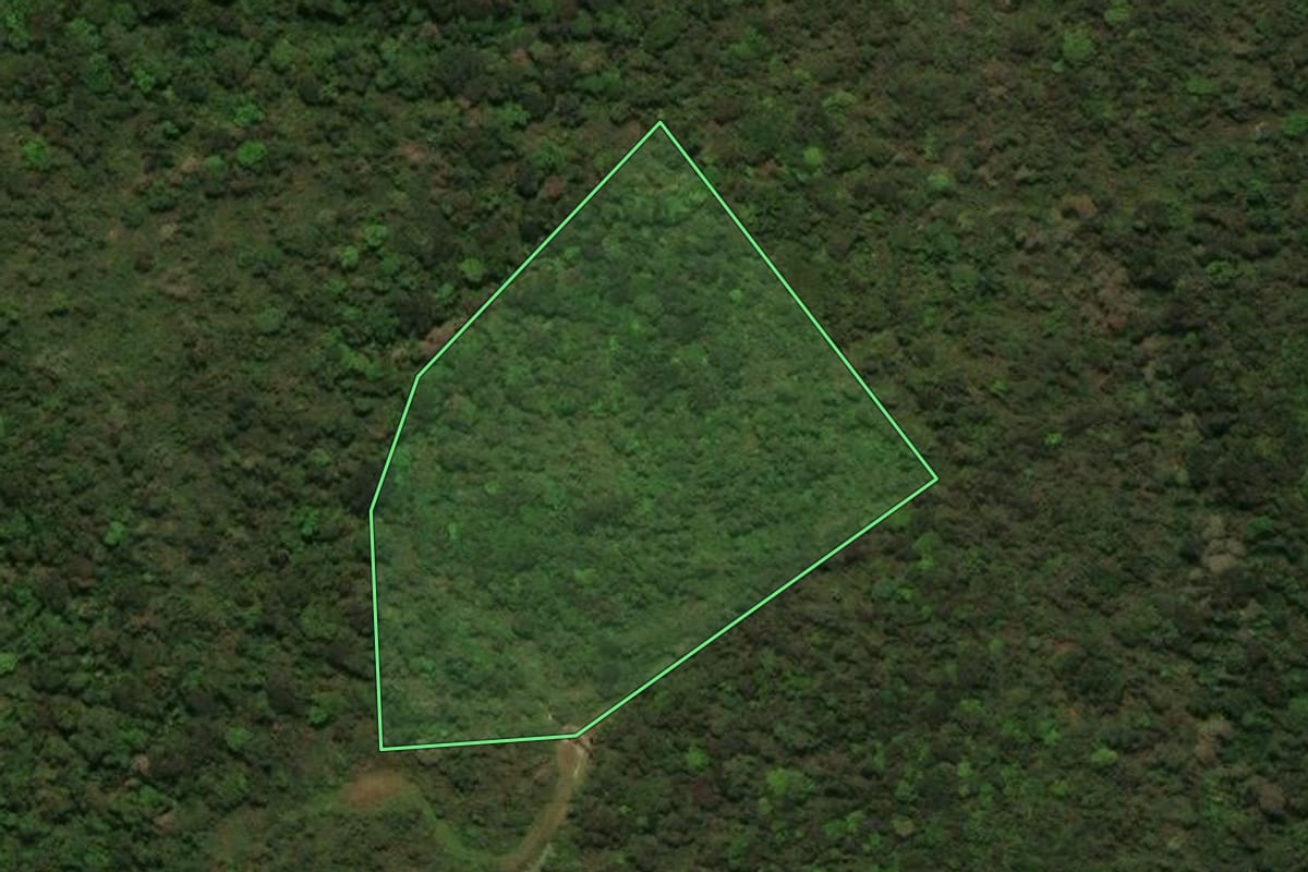 Imagem de satélite do imóvel rural em Jaraguá do Sul (SC), com o contorno declarado no CAR desenhado por cima.